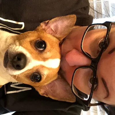 Paws 4 Love Private Petsitting