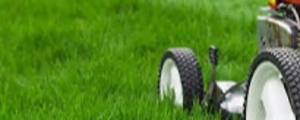 L & S Mowing