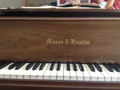 Passionate Piano Teacher