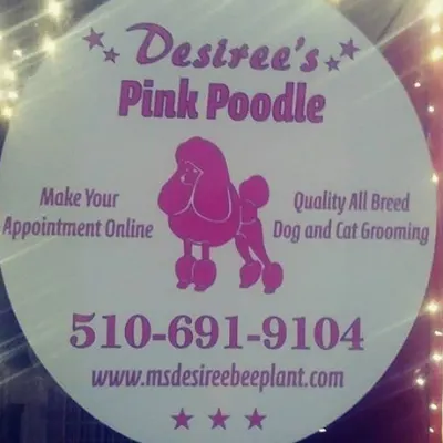 Desiree’s Pink Poodle Grooming