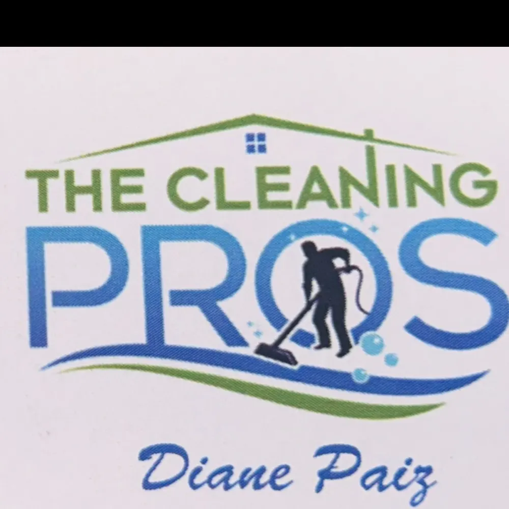 The Cleaning Pros