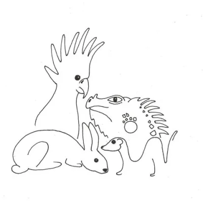 Avian And Exotic Clinic Of Monterey