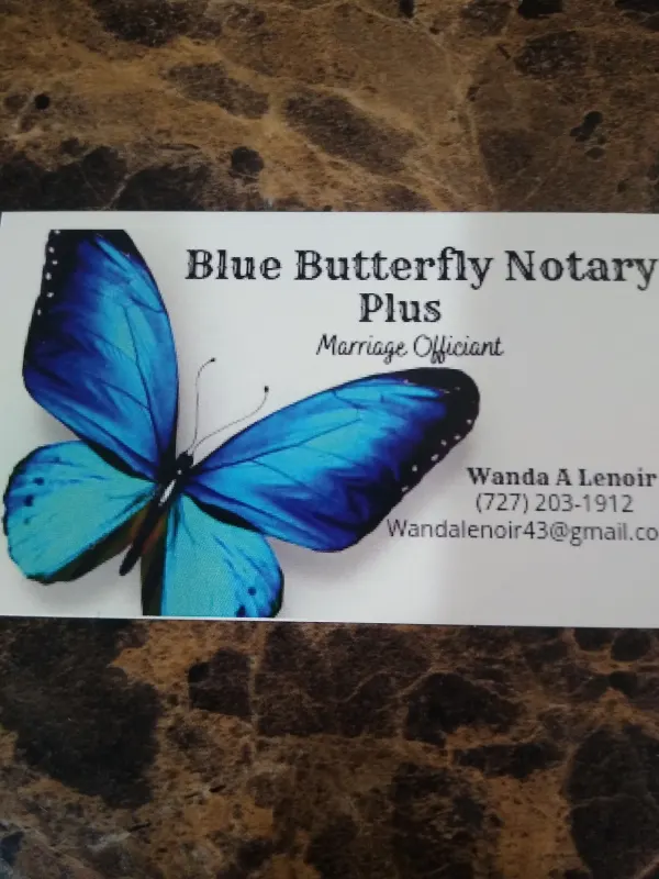 Blue Butterfly Notary Plus in Fort Myers, FL // Thervo