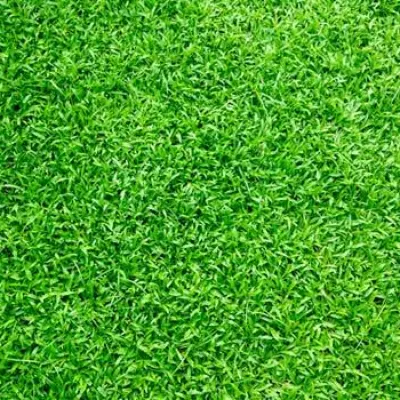 Rollins Mow & Edge