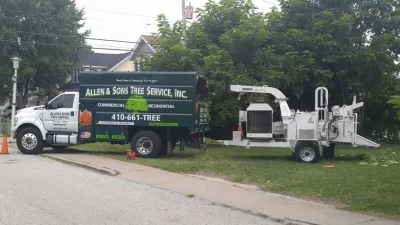 Allen & Son's Tree Service