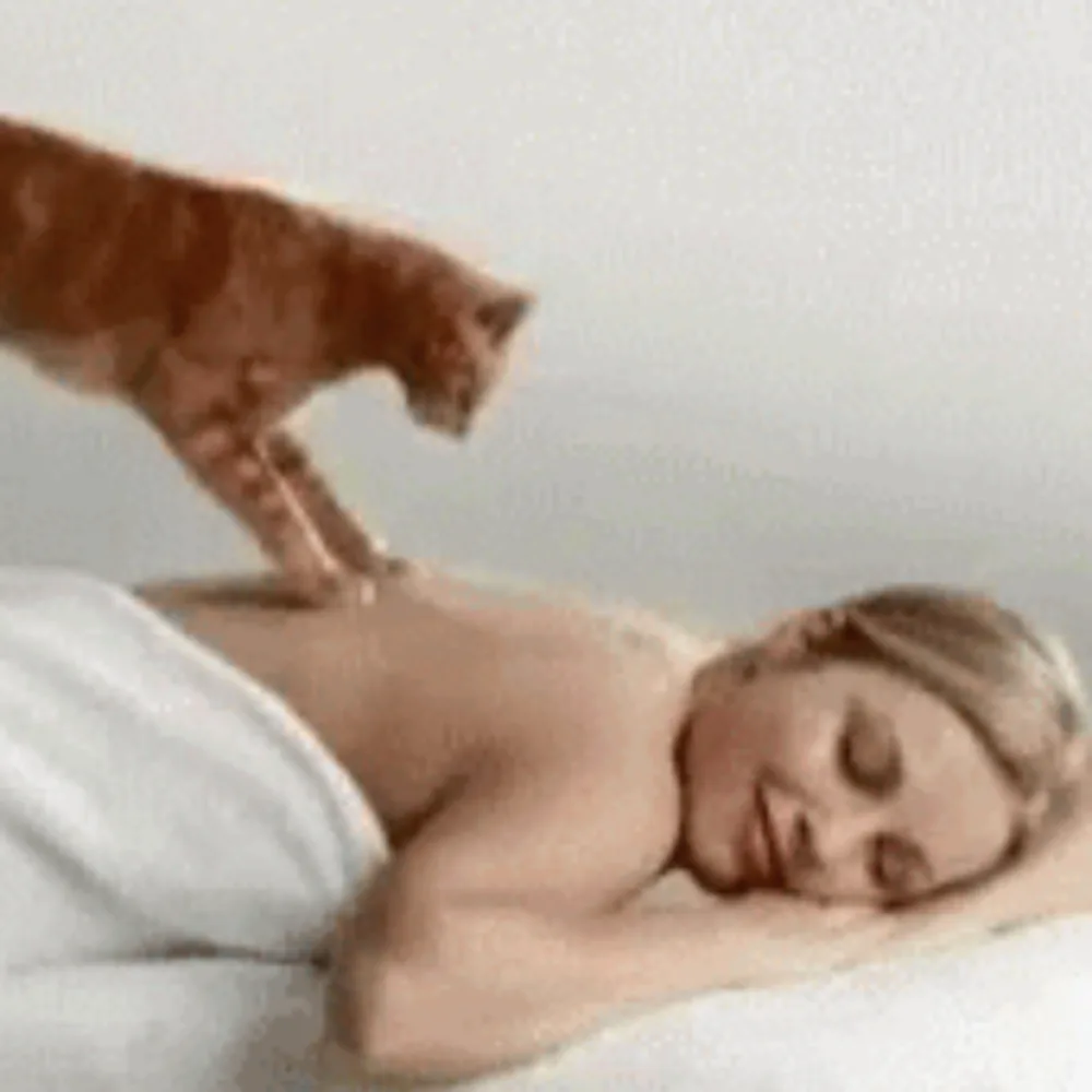 Golden Hands Massage Therapy MA#56777