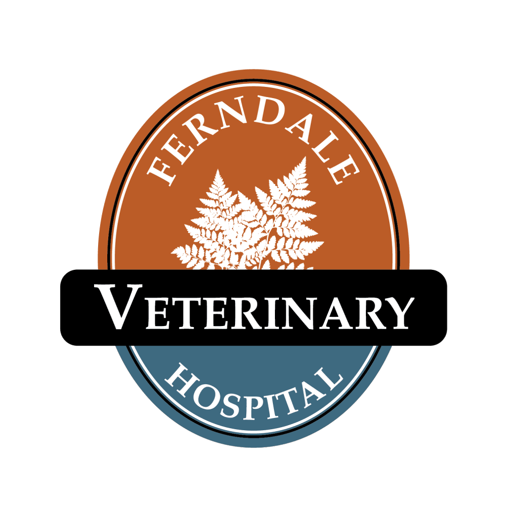 Ferndale Veterinary Hospital