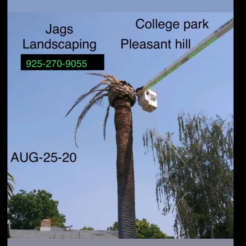 Jag Landscaping Svc