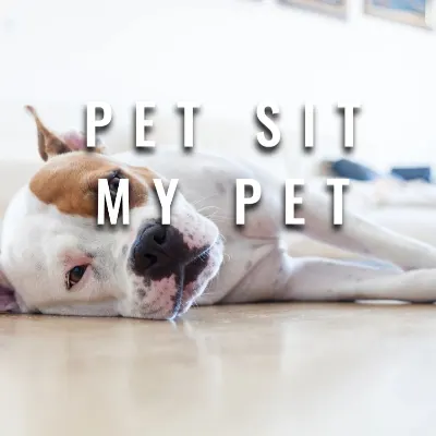Pet Sit My Pet