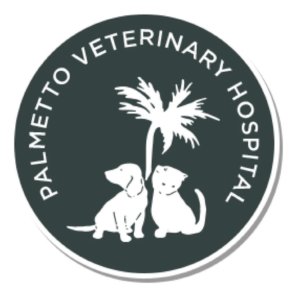 Palmetto Veterinary Hospital