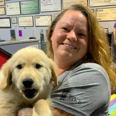 Paws And Tails Pet Training