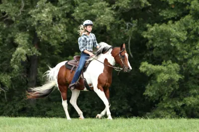 Double D Trail Rides