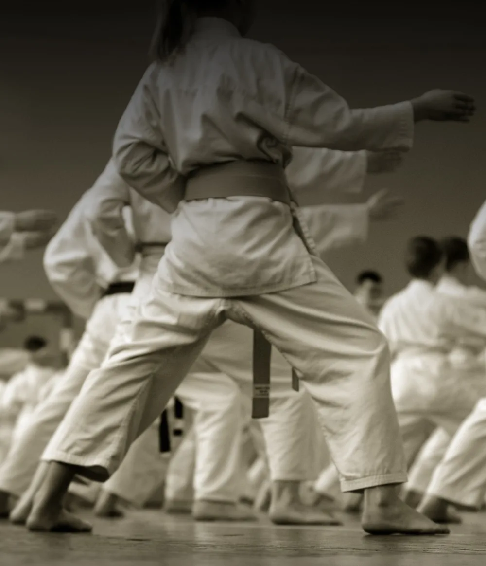 Isshinryu Karate-Do & Self-Defense
