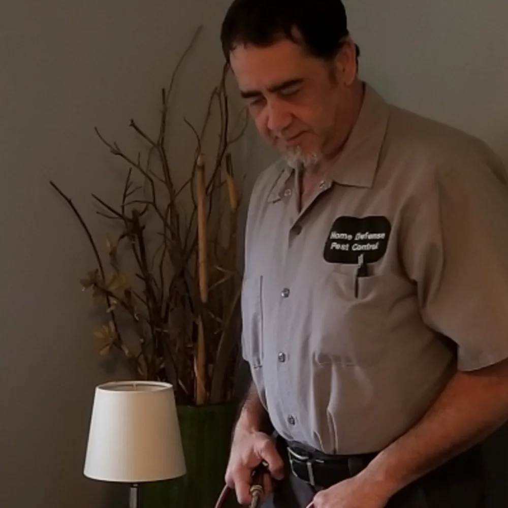 Home Defense Pest Control