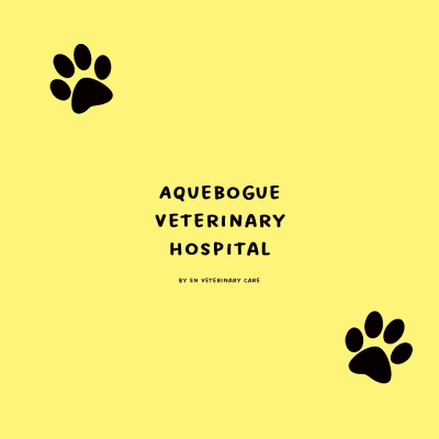 Aquebogue Veterinary Hospital