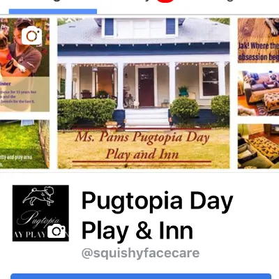 PUGTOPIA DAY PLAY & INN