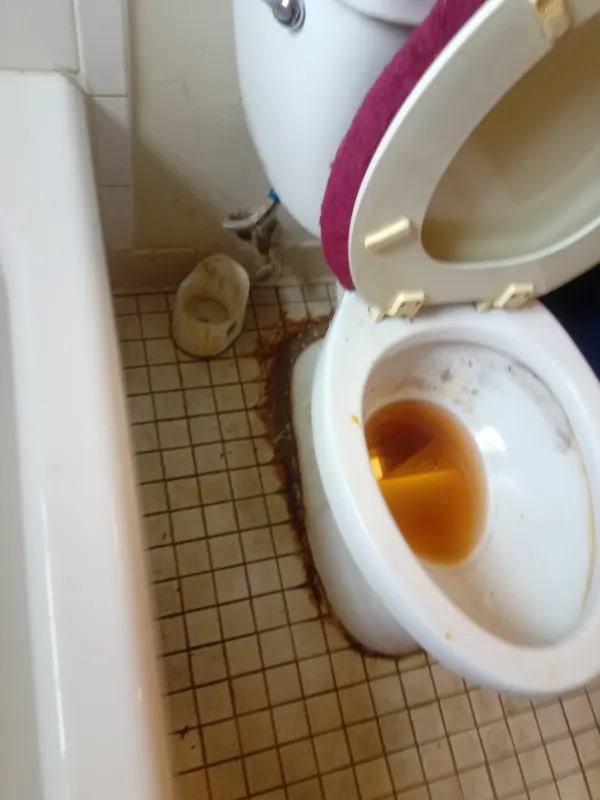Before Cleaning 