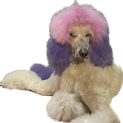 Georgette’s Paw Spaw