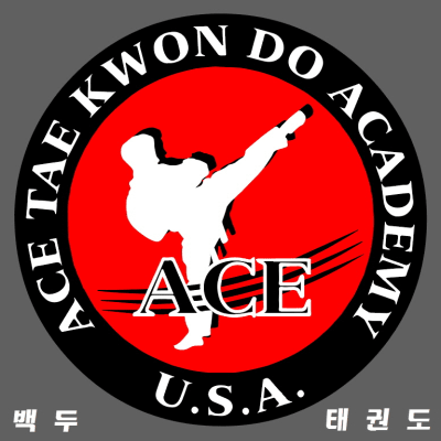 ACE Tae Kwon Do Academy