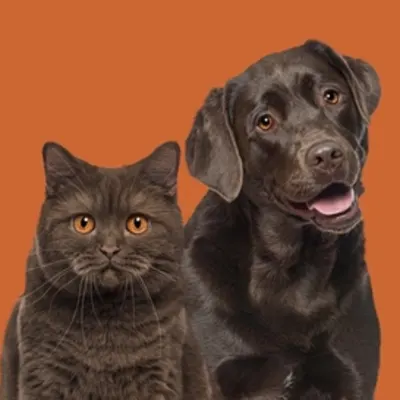 Cherished Companion Mobile Veterinary Service