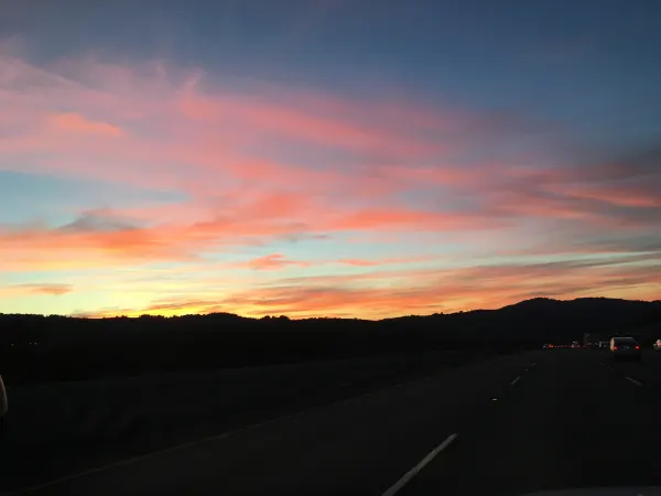 cali s