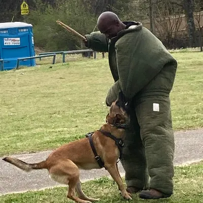 Happy Dog Is A Trained Dog. All Training Guaranteed