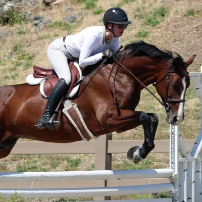 Leap Of Faith Equestrian
