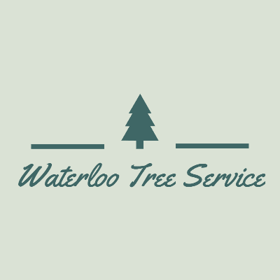 Waterloo Tree Service