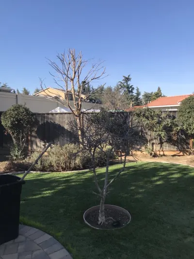 J & J Gardening