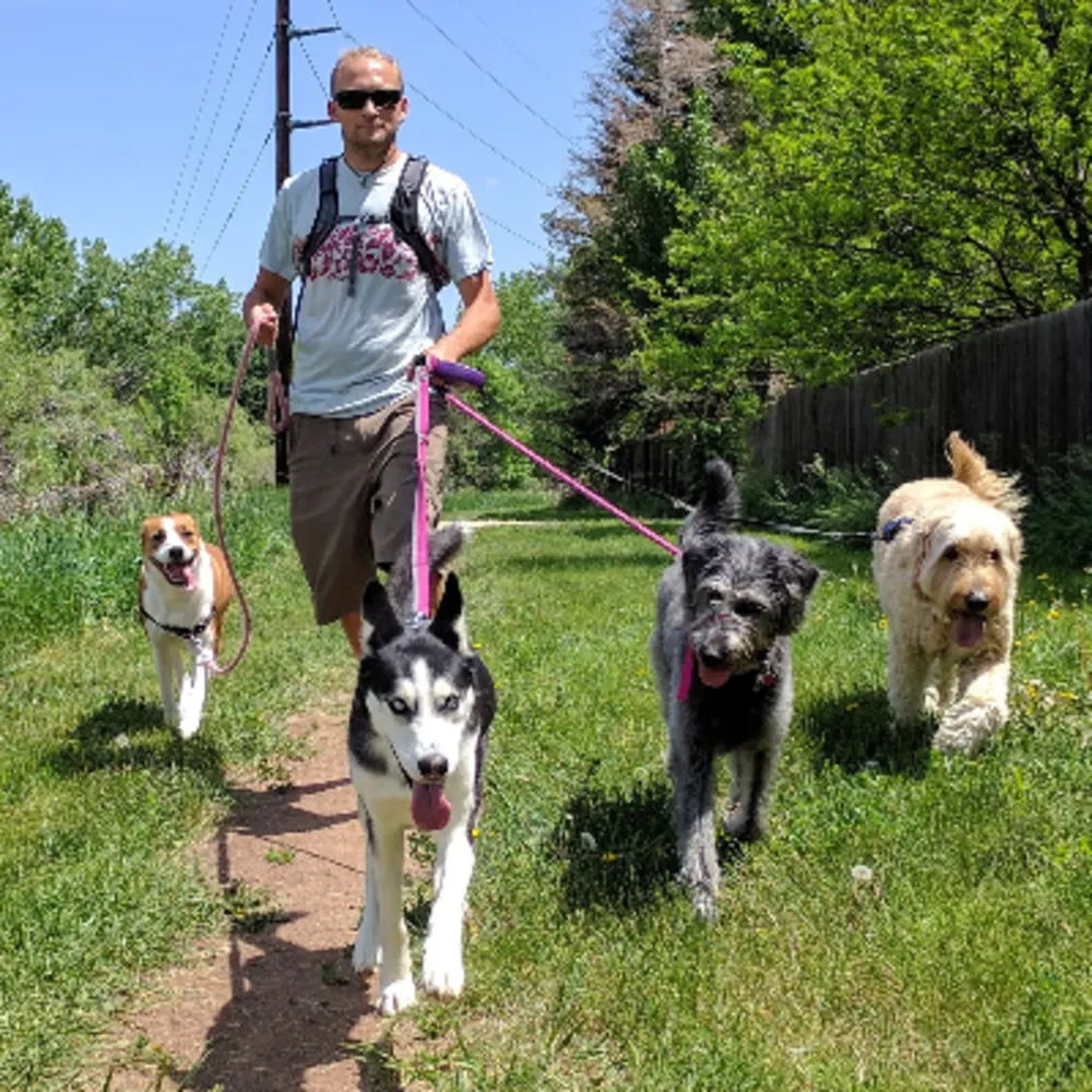 Dogs Colorado