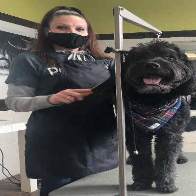 PoochiePoo Grooming
