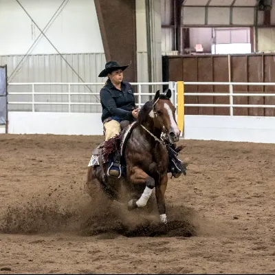 Laura's All Around Riding Lessons