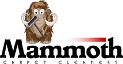 MAMMOTH CLEANERS INC.
