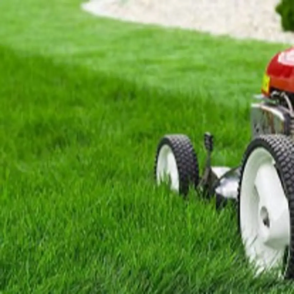 L & S Mowing