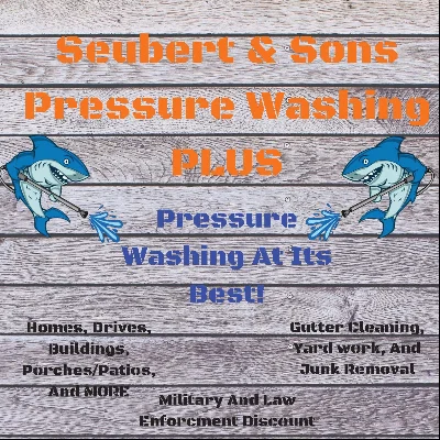 Seubert And Sons Pressure Washing Plus LLC