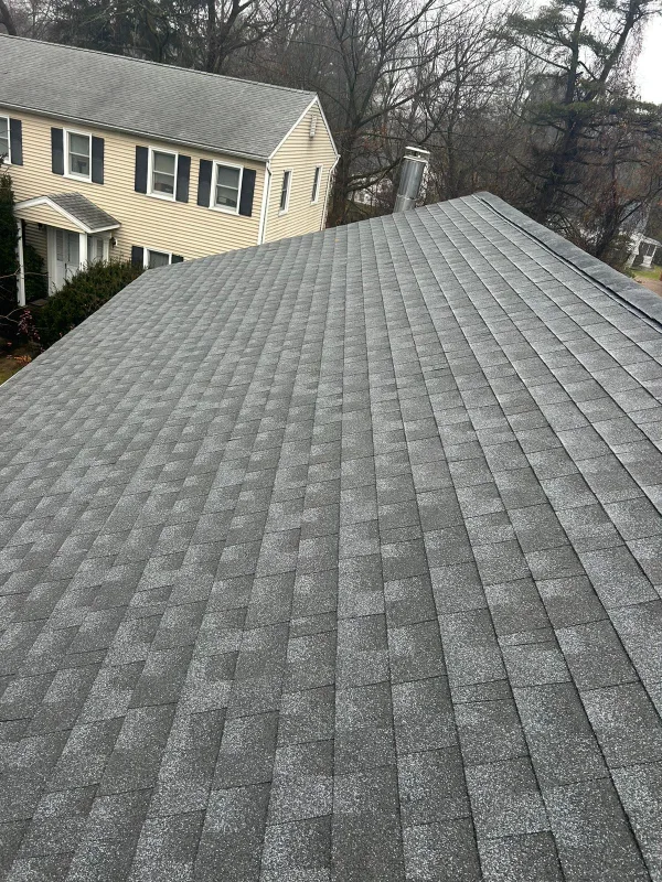 New roof 