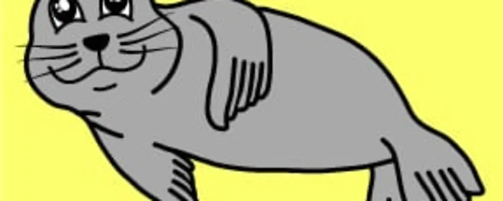 Little Monk Seal Montessori
