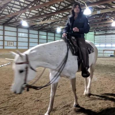 Harmony Horsemanship