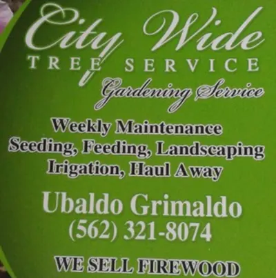 City Wide Tree Service