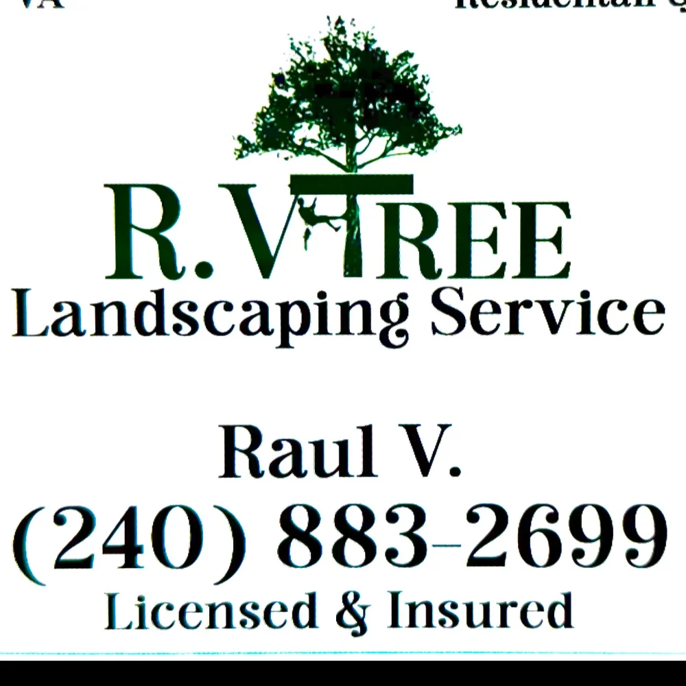 R.V Tree Service