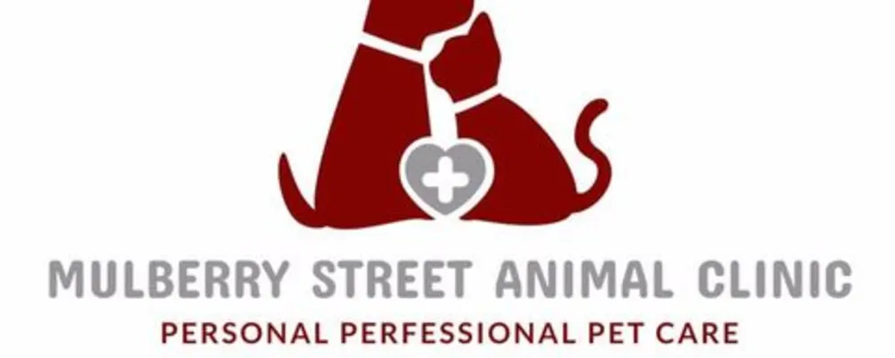 Mulberry Street Animal Clinic