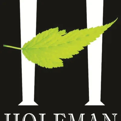 Mark M Holeman Inc