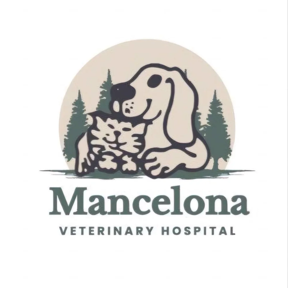 Mancelona Veterinary Hospital