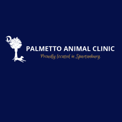 Palmetto Animal Clinic