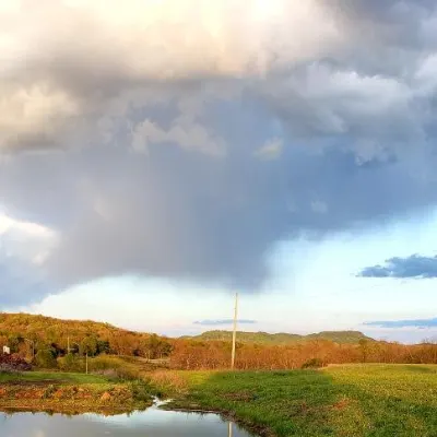 Rough Road Farm