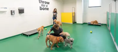 Throw Me A Bone Inc. / Dog Daycare, Grooming And Boarding