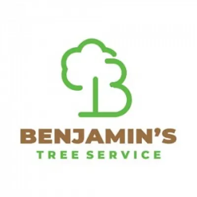 Benjamin's Tree Service