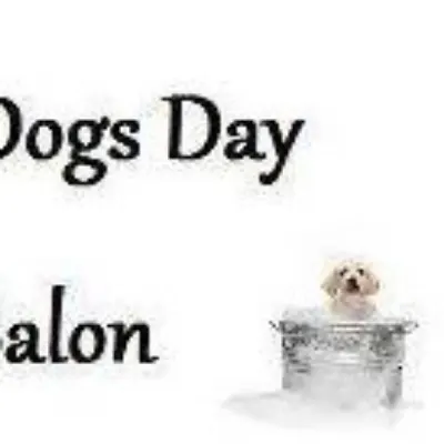 Dogs Day Salon