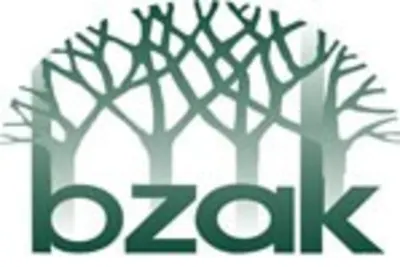 Bzak Landscaping