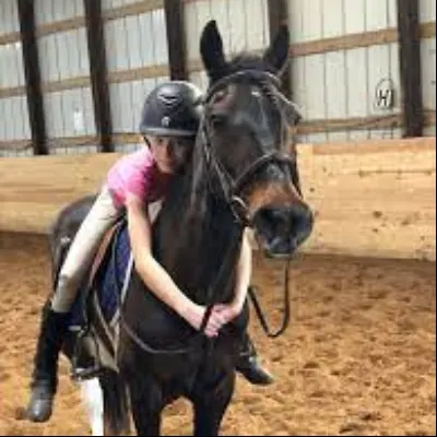 Sarah Maguire Compeau Hunter Seat Riding Lesson